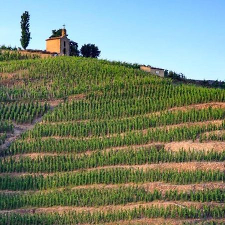 Pres Des Vignes Daire Crozes-Hermitage Dış mekan fotoğraf