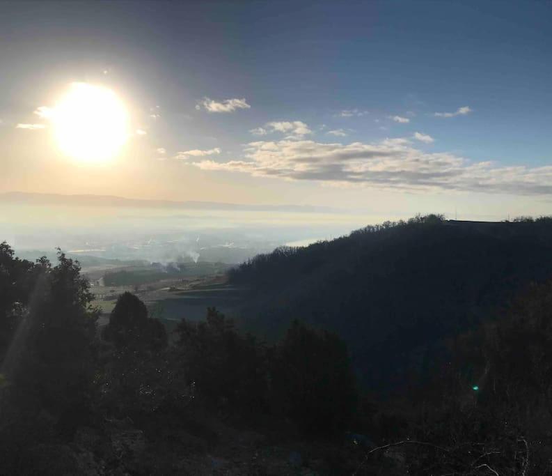 Pres Des Vignes Daire Crozes-Hermitage Dış mekan fotoğraf